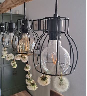 Pusteblume8